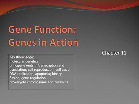 Chapter 11 Key Knowledge: molecular genetics principal events in transcription and translation; cell reproduction: cell cycle, DNA replication, apoptosis;