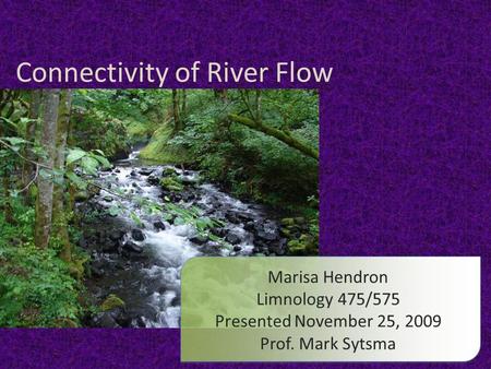 Connectivity of River Flow Marisa Hendron Limnology 475/575 Presented November 25, 2009 Prof. Mark Sytsma.