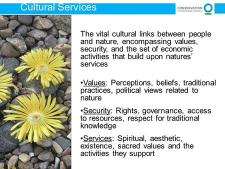 The vital cultural links between people and nature, encompassing values, security, and the set of economic activities that build upon natures’ services.