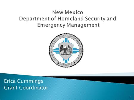 Erica Cummings Grant Coordinator 1.  The New Mexico Department of Homeland Security and Emergency Management (DHSEM) is responsible for:  Monitoring.