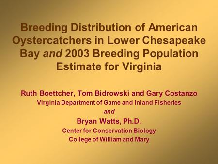 Breeding Distribution of American Oystercatchers in Lower Chesapeake Bay and 2003 Breeding Population Estimate for Virginia Ruth Boettcher, Tom Bidrowski.