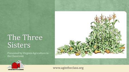 The Three Sisters Presented by Virginia Agriculture in the Classroom www.agintheclass.org.