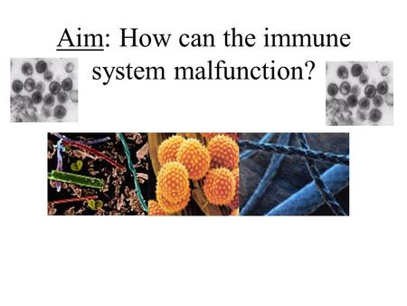 Aim: How can the immune system malfunction?. How can your immune system malfunction? 1.Allergies 2.Autoimmune Disease 3.HIV 4.Organ Transplants.