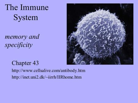 The Immune System memory and specificity Chapter 43