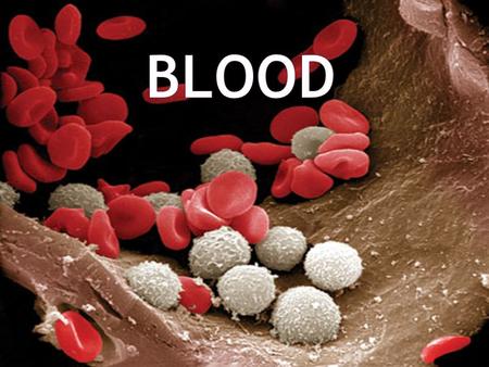  Consists of blood cells & plasma  Blood cells = Erythrocytes (RBC’s), Leukocytes (WBC’s), & Thrombocytes (Platelets)  Blood is 55% plasma & 45% blood.