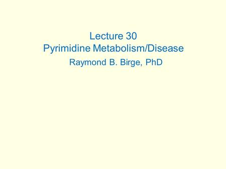 Lecture 30 Pyrimidine Metabolism/Disease Raymond B. Birge, PhD.