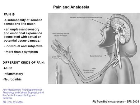 Pain and Analgesia PAIN IS