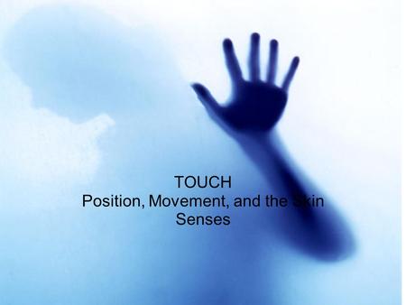 Touch TOUCH Position, Movement, and the Skin Senses.