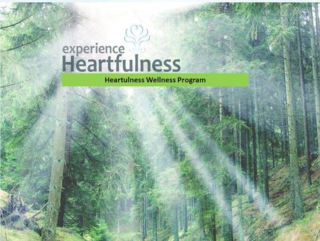 Heartulness Wellness Program