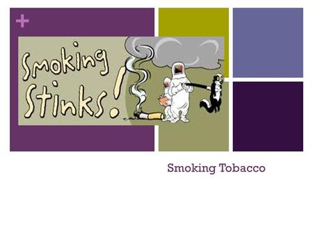 + Smoking Tobacco. + Facts: There are around 4000 chemicals in tobacco, and out of the 100 identified poisons, 63 are known to cause cancer Nicotine is.
