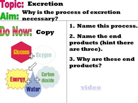 1. Name this process. 2. Name the end products (hint there are three). 3. Why are these end products? Copy Excretion Why is the process of excretion necessary?