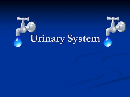 Urinary System. Body System Vocab Homeostasis- A state of balance in the body Homeostasis- A state of balance in the body (everything is A ok) Metabolism-