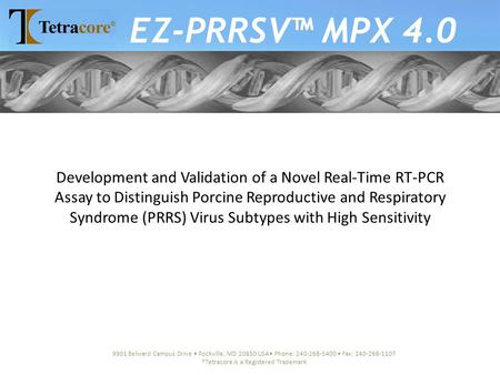 Development and Validation of a Novel Real-Time RT-PCR Assay to Distinguish Porcine Reproductive and Respiratory Syndrome (PRRS) Virus Subtypes with High.
