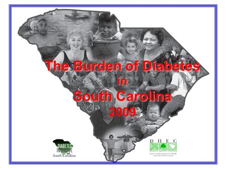 The Burden of Diabetes in South Carolina 2009. Chapter 1. Demographics and Access to Health Care.