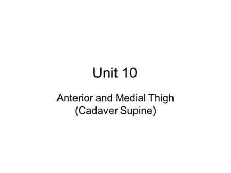 Anterior and Medial Thigh (Cadaver Supine)