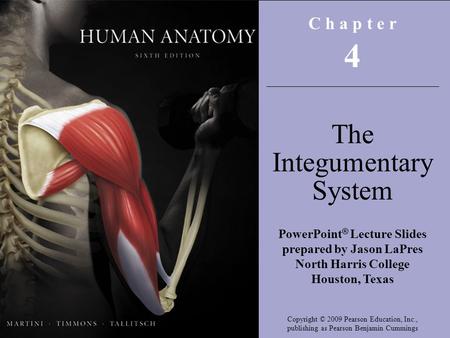 C h a p t e r 4 The Integumentary System PowerPoint ® Lecture Slides prepared by Jason LaPres North Harris College Houston, Texas Copyright © 2009 Pearson.