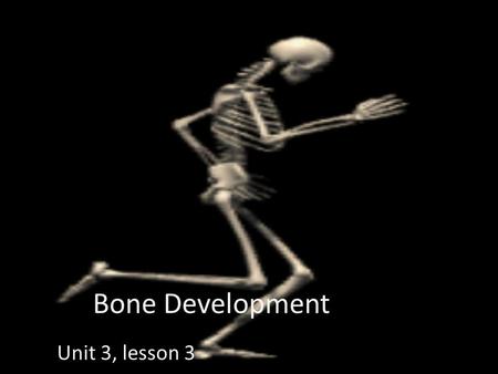 Bone Development Unit 3, lesson 3. Bone Development OSTEOGENESIS (a.k.a. ossification) is the process of bone tissue formation. In embryos this leads.