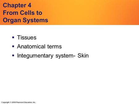 Copyright © 2009 Pearson Education, Inc. Chapter 4 From Cells to Organ Systems  Tissues  Anatomical terms  Integumentary system- Skin.