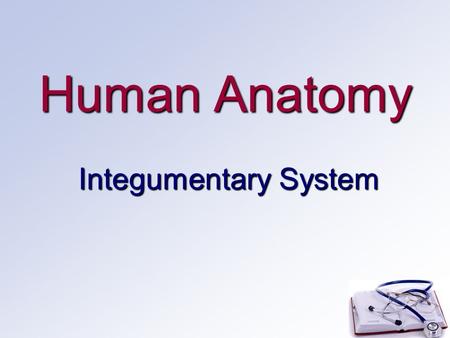 Human Anatomy Integumentary System. Introduction Largest organ of the bodyLargest organ of the body 21 square feet, 1.5-2 square meters21 square feet,