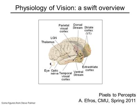 Physiology of Vision: a swift overview Pixels to Percepts A. Efros, CMU, Spring 2011 Some figures from Steve Palmer.