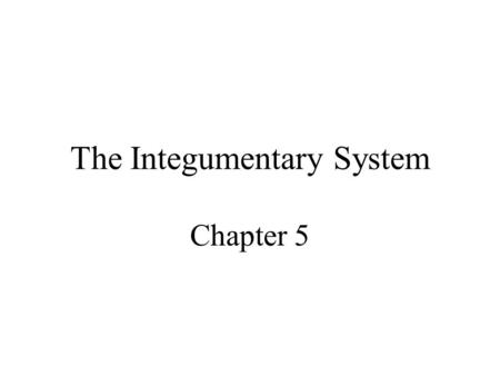 The Integumentary System Chapter 5. Integumentary System Structure –Epidermis –Dermis Functions of the skin.