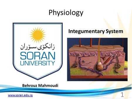 Www.soran.edu.iq Physiology Behrouz Mahmoudi Integumentary System 1.