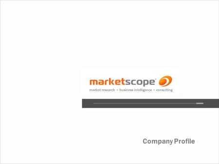Company Profile market research business intelligence consulting.
