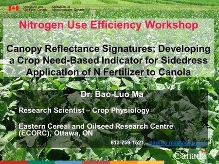 Nitrogen Use Efficiency Workshop Canopy Reflectance Signatures: Developing a Crop Need-Based Indicator for Sidedress Application of N Fertilizer to Canola.