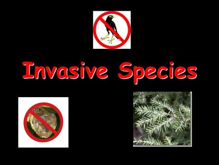 Invasive Species.