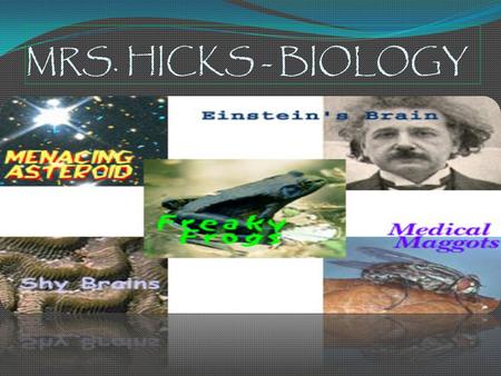 MRS. HICKS - BIOLOGY MATERIALS NEEDED FOR CLASS: 3 RING BINDER COLORED PENCILS SIMPLE CALCULATOR.