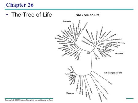 Copyright © 2005 Pearson Education, Inc. publishing as Benjamin Cummings Chapter 26 The Tree of Life.