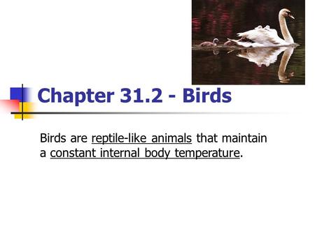 Chapter 31.2 - Birds Birds are reptile-like animals that maintain a constant internal body temperature.