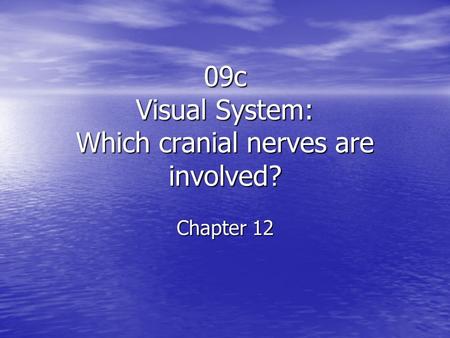 09c Visual System: Which cranial nerves are involved? Chapter 12.