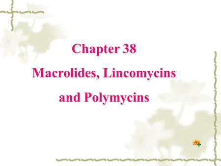 Macrolides, Lincomycins