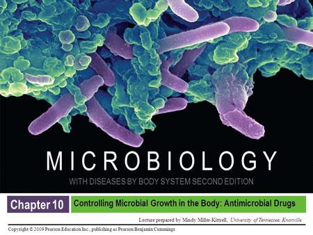 Controlling Microbial Growth in the Body: Antimicrobial Drugs