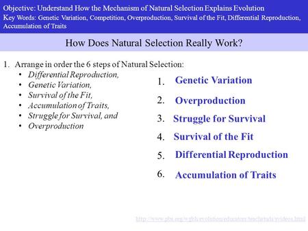 How Does Natural Selection Really Work?