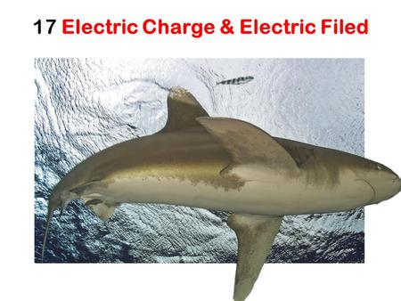17 Electric Charge & Electric Filed. Nature of Electric Charge Two types of Charges: Positive and negative charges Like charges repel each other (force?)