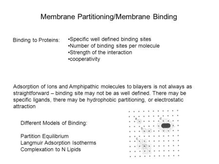 Membrane Partitioning/Membrane Binding Binding to Proteins: Specific well defined binding sites Number of binding sites per molecule Strength of the interaction.