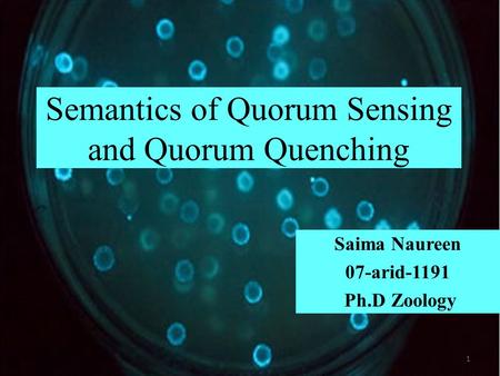 Semantics of Quorum Sensing and Quorum Quenching