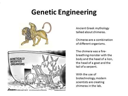 Genetic Engineering Ancient Greek mythology talked about chimeras. Chimeras are a combination of different organisms. The chimera was a fire- breathing.