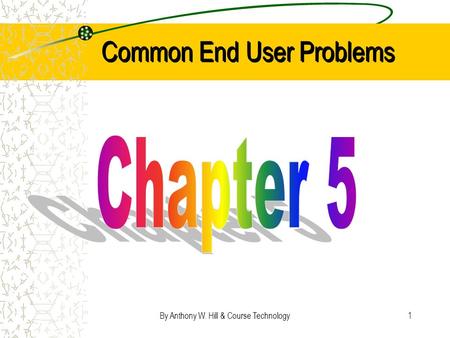 By Anthony W. Hill & Course Technology1 Common End User Problems.