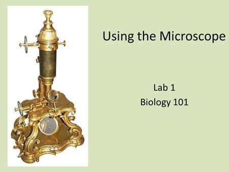 Using the Microscope Lab 1 Biology 101.