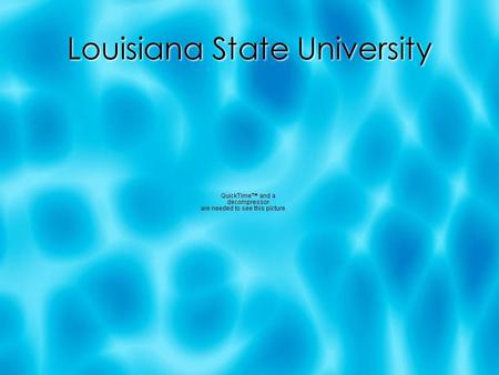 Louisiana State University. Fast Facts:  Mascot: Fighting Tigers  Purple and Gold  Number of students: 25, 000  Time: 1 day, 12 hours (2, 224 miles)