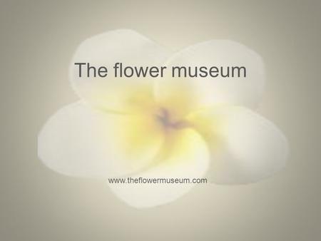The flower museum www.theflowermuseum.com. The flower museum Target audience of the group: The target audience of the flower museum ranges from 10 years.