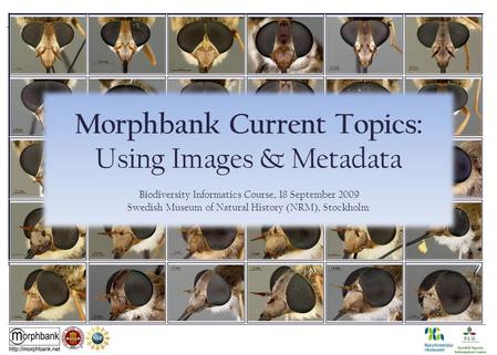 Morphbank Current Topics: Using Images & Metadata Biodiversity Informatics Course, 18 September 2009 Swedish Museum of Natural History (NRM), Stockholm.