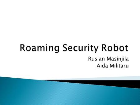 Ruslan Masinjila Aida Militaru.  Nature of the Problem  Our Solution: The Roaming Security Robot  Functionalities  General System View  System Design.