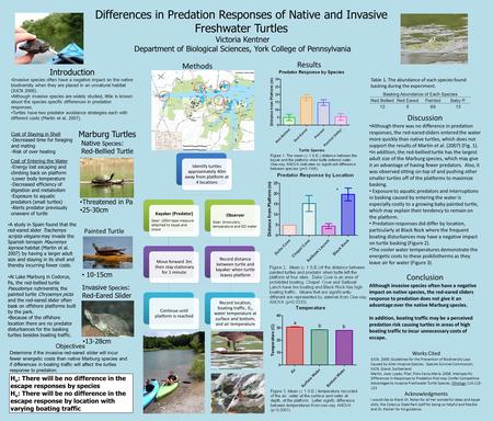 Differences in Predation Responses of Native and Invasive Freshwater Turtles Victoria Kentner Department of Biological Sciences, York College of Pennsylvania.
