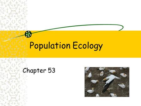 Population Ecology Chapter 53. turtles Population Groups of individual of the same species that live in the same place Characteristics of populations.