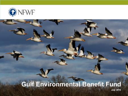 CONFIDENTIAL Gulf Environmental Benefit Fund July 2015.