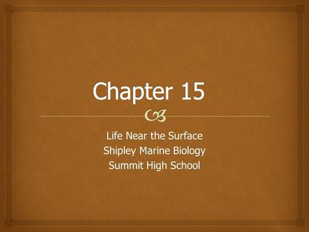 Life Near the Surface Shipley Marine Biology Summit High School